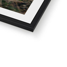Load image into Gallery viewer, Minty Framed & Mounted Print