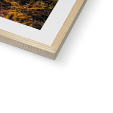 Load image into Gallery viewer, 250 TR Horse Framed & Mounted Print