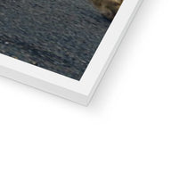 Load image into Gallery viewer, Jaguar D-Type Framed Print