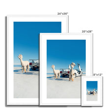 Load image into Gallery viewer, Alpacaghini Framed & Mounted Print