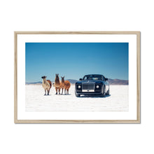 Load image into Gallery viewer, Sweptail Framed & Mounted Print