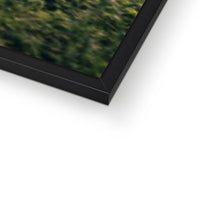 Load image into Gallery viewer, F1 GTR Framed Print