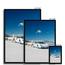 Load image into Gallery viewer, Countach Alpacas Framed Print