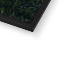 Load image into Gallery viewer, GT1s Framed Print