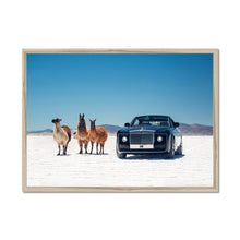 Load image into Gallery viewer, Sweptail Framed Print