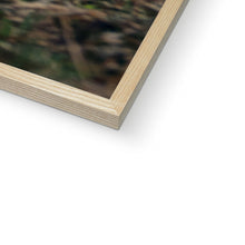 Load image into Gallery viewer, Minty Framed Print
