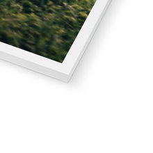 Load image into Gallery viewer, F1 GTR Framed Print