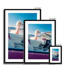 Load image into Gallery viewer, Aventador Alpaca Framed & Mounted Print