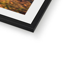 Load image into Gallery viewer, 300 SL Roadster Framed & Mounted Print