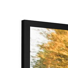 Load image into Gallery viewer, Brunei F40 Framed Print