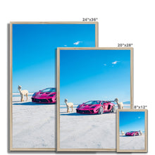 Load image into Gallery viewer, Liberty Walk Alpacas 2 Framed Print