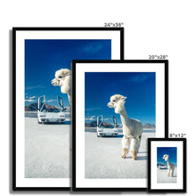Load image into Gallery viewer, Alpaca Countach Framed & Mounted Print