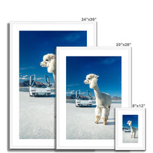 Load image into Gallery viewer, Alpaca Countach Framed & Mounted Print