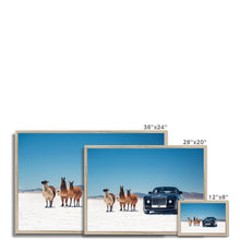 Load image into Gallery viewer, Sweptail Framed Print