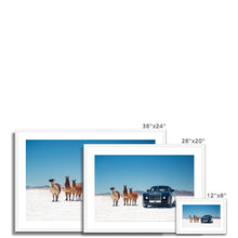 Load image into Gallery viewer, Sweptail Framed & Mounted Print
