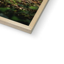 Load image into Gallery viewer, Koenigsegg Jesko Framed Print