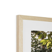 Load image into Gallery viewer, Koenigsegg Jesko Framed & Mounted Print