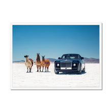 Load image into Gallery viewer, Sweptail Framed Print