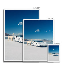 Load image into Gallery viewer, Countach Alpacas Framed Print
