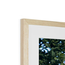 Load image into Gallery viewer, P1 Greece Framed & Mounted Print