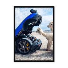 Load image into Gallery viewer, image3

