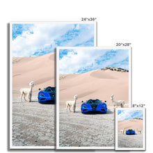 Load image into Gallery viewer, image
