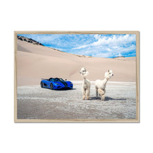 Load image into Gallery viewer, image5
