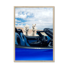 Load image into Gallery viewer, image5
