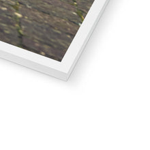 Load image into Gallery viewer, Dakar Horse 3 Framed Print
