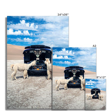 Load image into Gallery viewer, image
