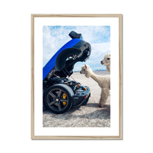 Load image into Gallery viewer, image5
