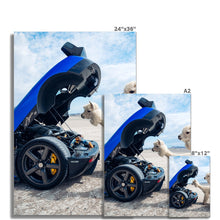 Load image into Gallery viewer, image
