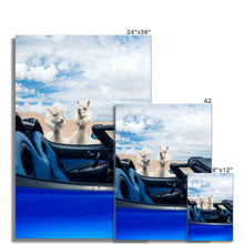 Load image into Gallery viewer, image
