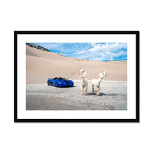 Load image into Gallery viewer, image3
