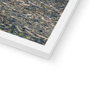 Load image into Gallery viewer, Tourbillon Bamboo Forest 2 Framed Print
