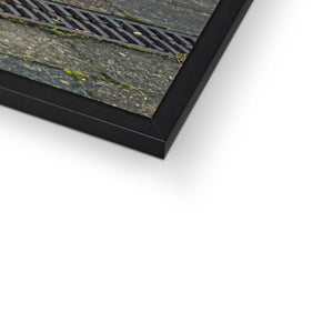 Dakar Horse  Framed Print