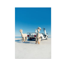 Load image into Gallery viewer, image5

