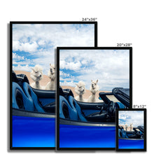 Load image into Gallery viewer, image
