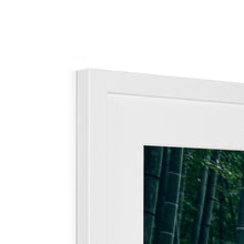 Load image into Gallery viewer, Tourbillon Bamboo Forest 2 Framed &amp; Mounted Print

