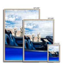 Load image into Gallery viewer, image
