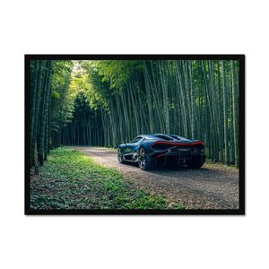 Tourbillon Bamboo Forest 2 Framed Print