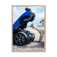 Load image into Gallery viewer, image5
