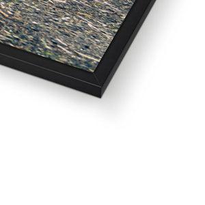 Tourbillon Bamboo Forest 2 Framed Print