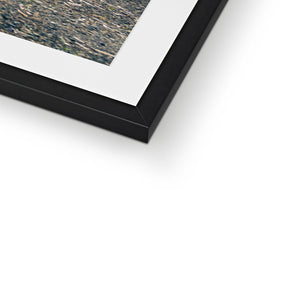 Tourbillon Bamboo Forest 2 Framed & Mounted Print
