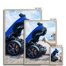 Load image into Gallery viewer, image
