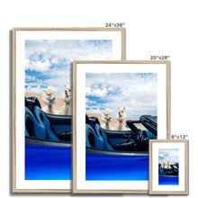 Load image into Gallery viewer, image
