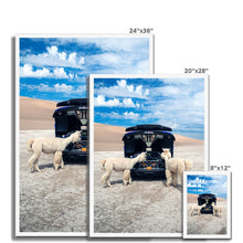 Load image into Gallery viewer, image

