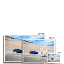 Load image into Gallery viewer, image
