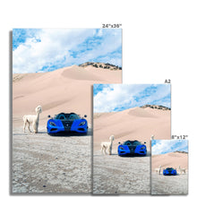 Load image into Gallery viewer, image
