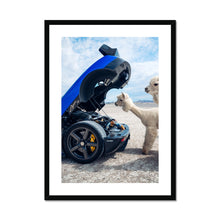 Load image into Gallery viewer, image3
